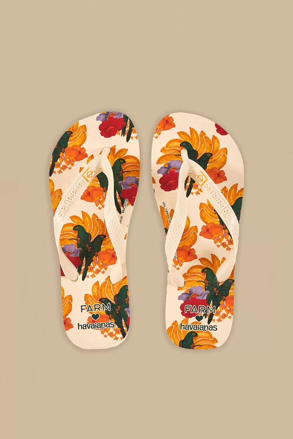 Banana Nest Havaianas Sandals | FARM Rio Shop