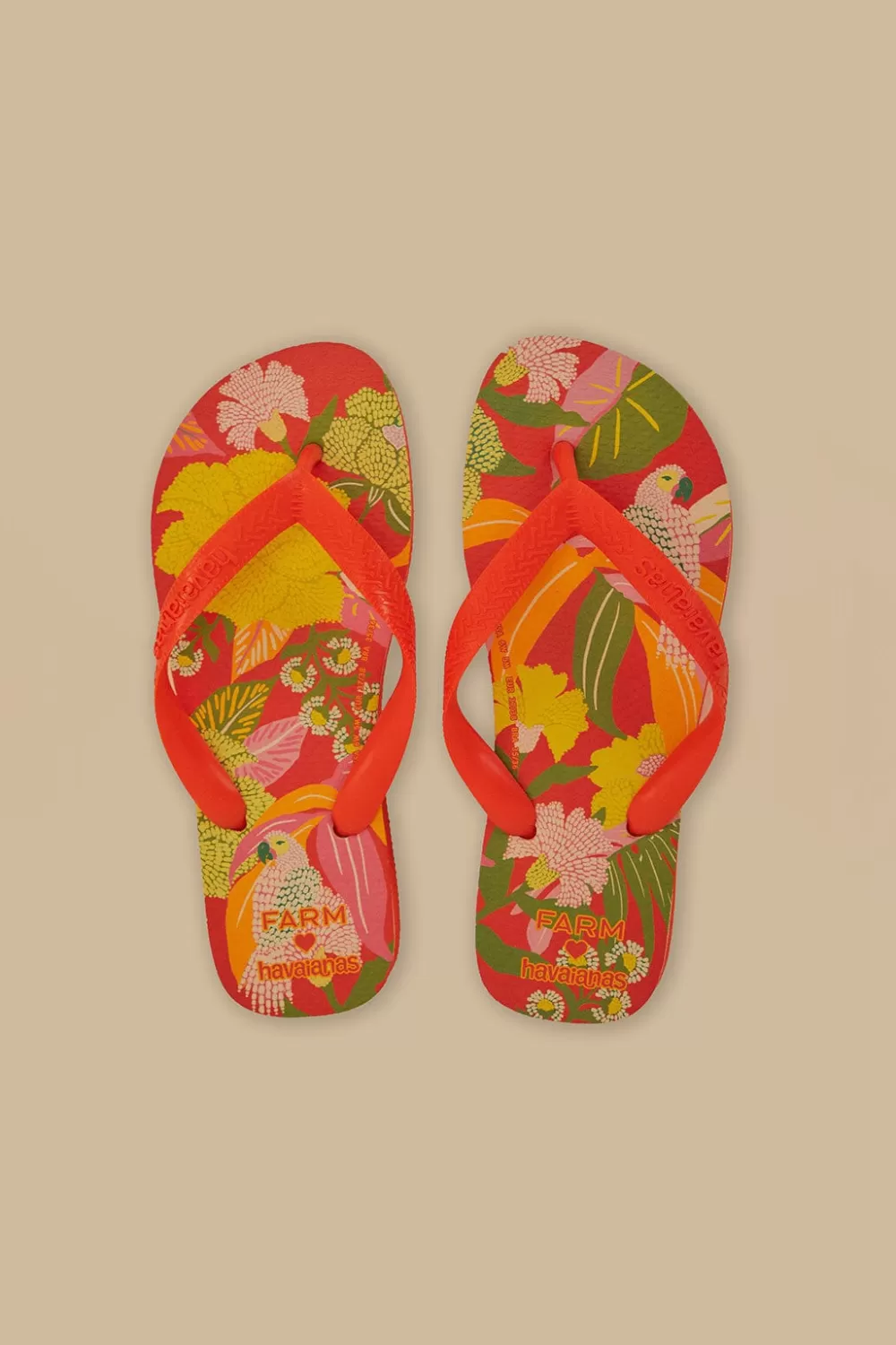 Farm Neon Flor Havaianas Sandals | FARM Rio Fashion