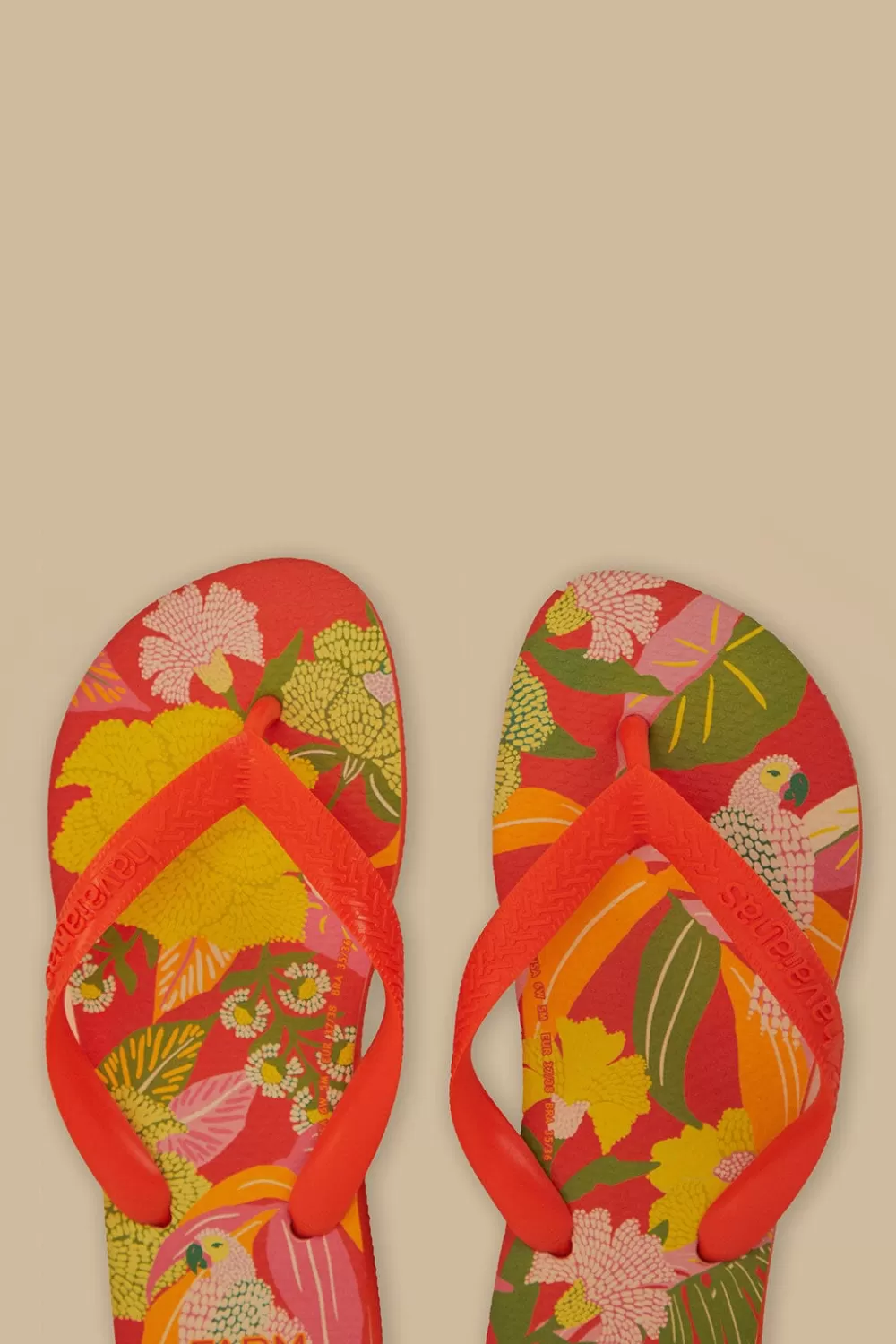 Farm Neon Flor Havaianas Sandals | FARM Rio Fashion