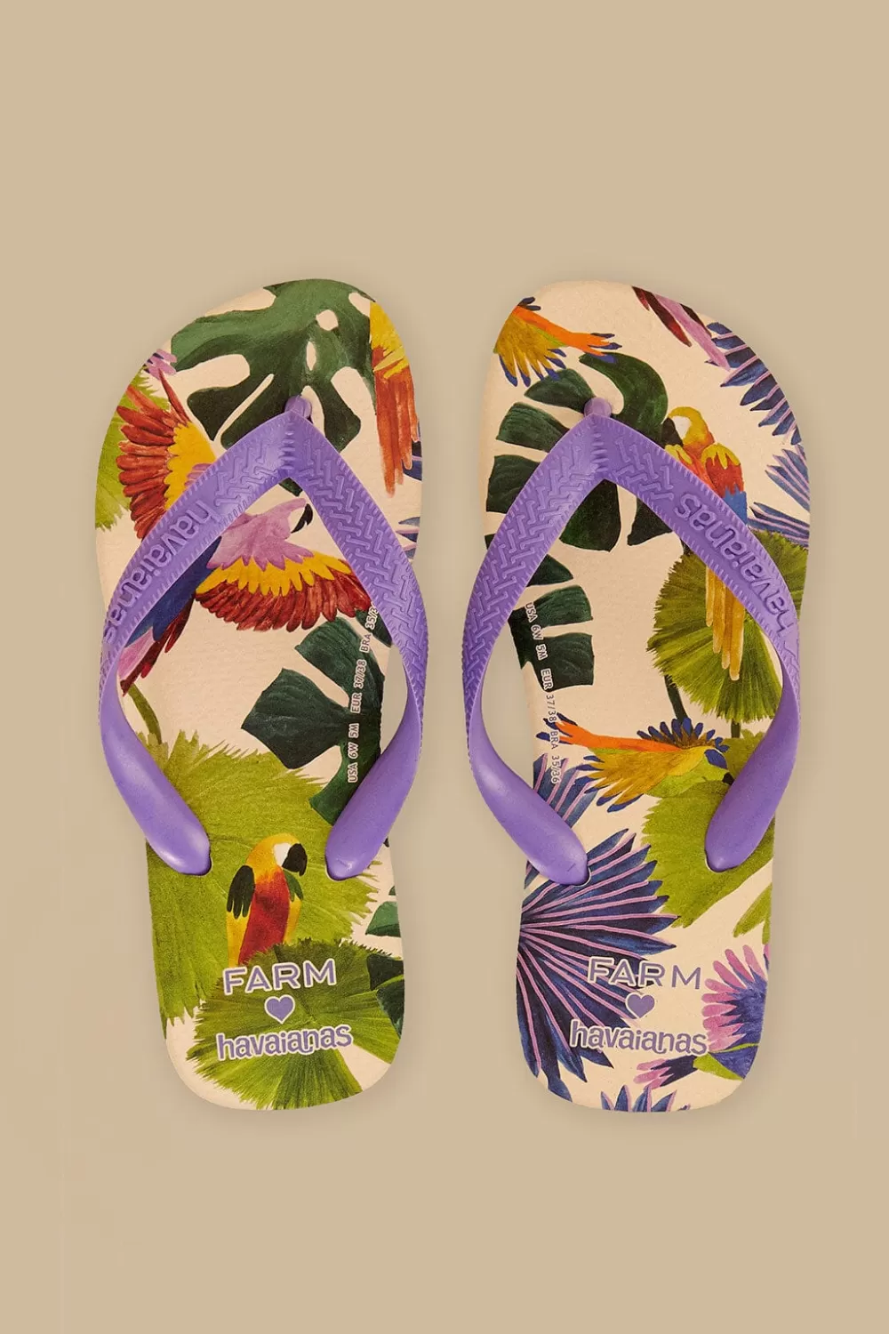 Farm Passaros Pintados Havaianas Sandals | FARM Rio Best