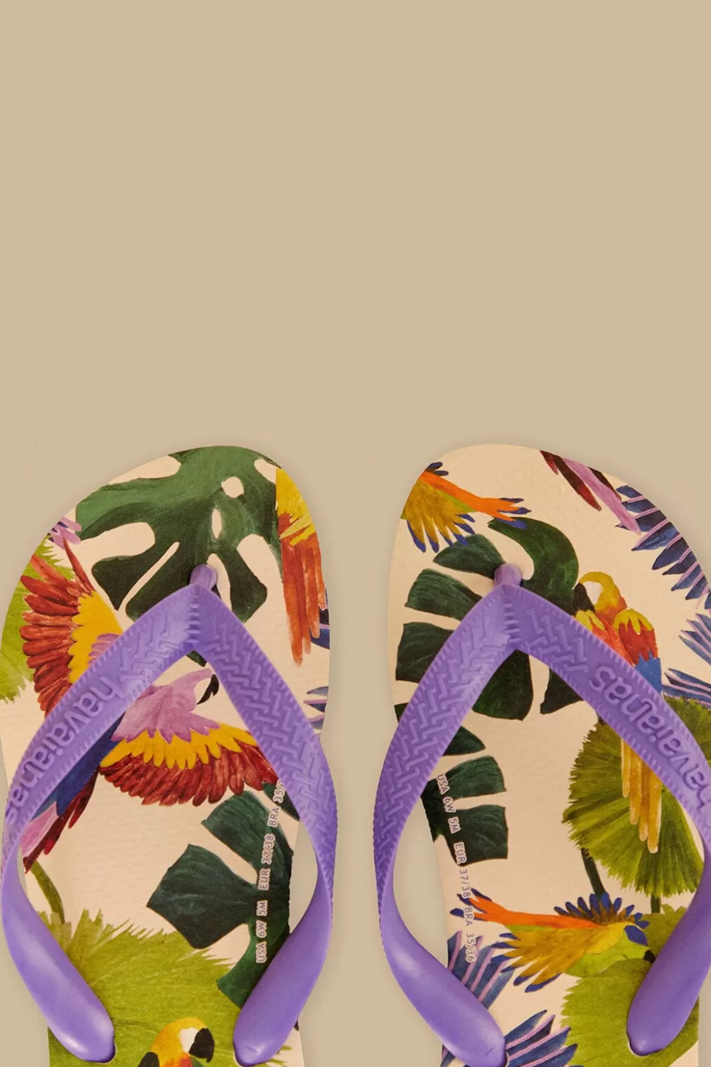 Farm Passaros Pintados Havaianas Sandals | FARM Rio Best